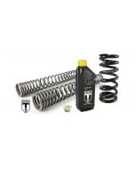 Progressive BLACK-T replacement springs Stage1 for fork and shock absorber fit BMW RnineT Pure from 2017